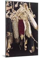 Hanging Maize Cobs, 2005-Pedro Diego Alvarado-Mounted Giclee Print