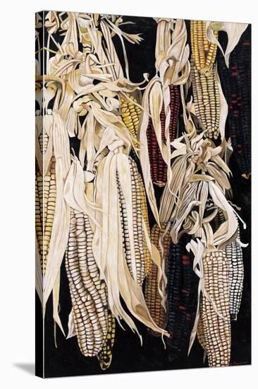 Hanging Maize Cobs, One Red, 2004-Pedro Diego Alvarado-Stretched Canvas