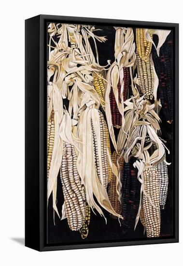 Hanging Maize Cobs, One Red, 2004-Pedro Diego Alvarado-Framed Stretched Canvas