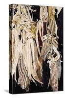 Hanging Maize Cobs, One Red, 2004-Pedro Diego Alvarado-Stretched Canvas