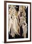 Hanging Maize Cobs, One Red, 2004-Pedro Diego Alvarado-Framed Giclee Print