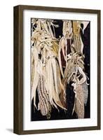 Hanging Maize Cobs, One Red, 2004-Pedro Diego Alvarado-Framed Giclee Print