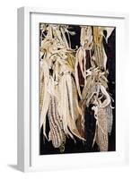 Hanging Maize Cobs, One Red, 2004-Pedro Diego Alvarado-Framed Giclee Print
