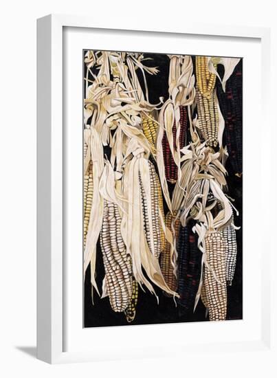 Hanging Maize Cobs, One Red, 2004-Pedro Diego Alvarado-Framed Giclee Print