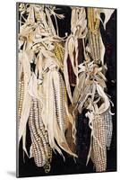 Hanging Maize Cobs, One Red, 2004-Pedro Diego Alvarado-Mounted Giclee Print