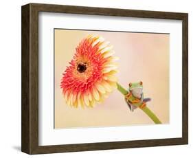 Hanging On IX-null-Framed Photographic Print