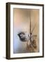 Hanging on Sparrow-Jai Johnson-Framed Premium Giclee Print