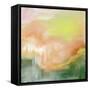 Hanging on Tangerine-Karen Suderman-Framed Stretched Canvas