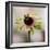 Hanging On V-null-Framed Photographic Print