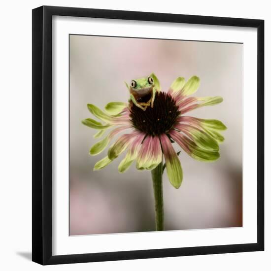 Hanging On V-null-Framed Photographic Print