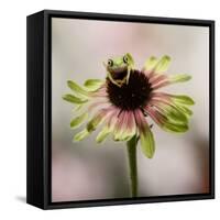 Hanging On V-null-Framed Stretched Canvas