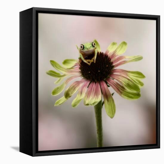 Hanging On V-null-Framed Stretched Canvas