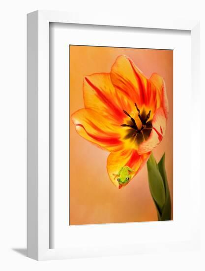 Hanging On VI-null-Framed Photographic Print