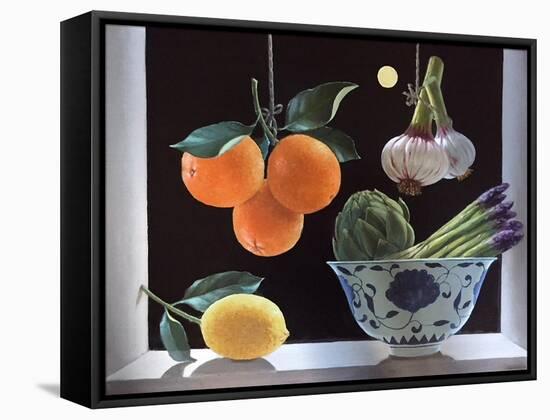 Hanging Oranges-ELEANOR FEIN-Framed Stretched Canvas