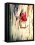 Hanging Red-Winter Wolf Studios-Framed Stretched Canvas