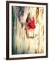 Hanging Red-Winter Wolf Studios-Framed Photographic Print