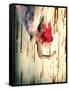 Hanging Red-Winter Wolf Studios-Framed Stretched Canvas