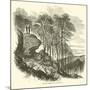Hanging Rock, South Carolina, February 1865-null-Mounted Giclee Print