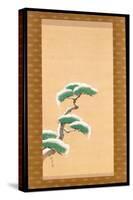 Hanging Scroll Depicting a Snow Clad Pine, from a Triptych of the Three Seasons, Japanese-Sakai Hoitsu-Stretched Canvas
