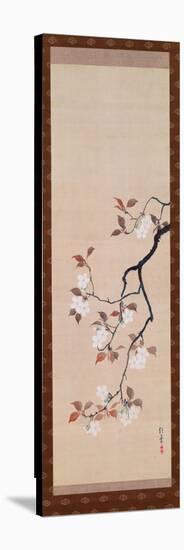 Hanging Scroll Depicting Cherry Blossoms, from a Triptych of the Three Seasons, Japanese-Sakai Hoitsu-Stretched Canvas