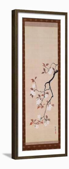 Hanging Scroll Depicting Cherry Blossoms, from a Triptych of the Three Seasons, Japanese-Sakai Hoitsu-Framed Premium Giclee Print