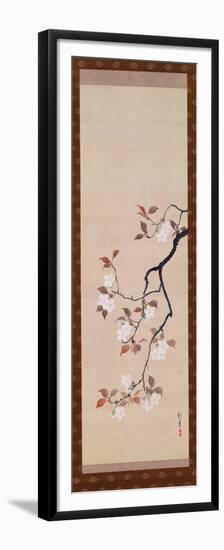 Hanging Scroll Depicting Cherry Blossoms, from a Triptych of the Three Seasons, Japanese-Sakai Hoitsu-Framed Premium Giclee Print