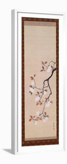 Hanging Scroll Depicting Cherry Blossoms, from a Triptych of the Three Seasons, Japanese-Sakai Hoitsu-Framed Premium Giclee Print