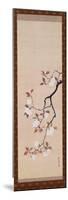 Hanging Scroll Depicting Cherry Blossoms, from a Triptych of the Three Seasons, Japanese-Sakai Hoitsu-Mounted Premium Giclee Print