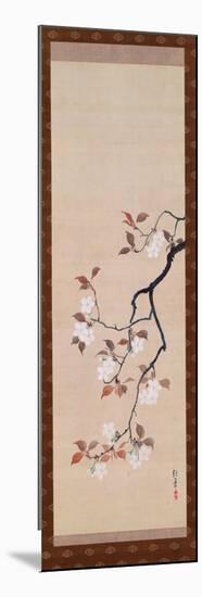 Hanging Scroll Depicting Cherry Blossoms, from a Triptych of the Three Seasons, Japanese-Sakai Hoitsu-Mounted Premium Giclee Print