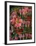 HANGING SPRING COLLAGE-Linda Arthurs-Framed Giclee Print