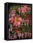 HANGING SPRING COLLAGE-Linda Arthurs-Framed Stretched Canvas