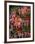 HANGING SPRING COLLAGE-Linda Arthurs-Framed Giclee Print