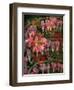 HANGING SPRING COLLAGE-Linda Arthurs-Framed Giclee Print