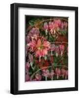 HANGING SPRING COLLAGE-Linda Arthurs-Framed Premium Giclee Print
