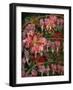 HANGING SPRING COLLAGE-Linda Arthurs-Framed Giclee Print