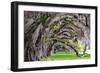 Hanging to the Right-Daniel Burt-Framed Photographic Print