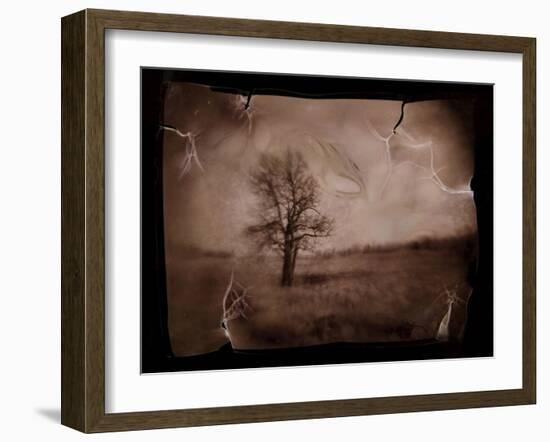 Hanging Tree-Jack Germsheld-Framed Photographic Print