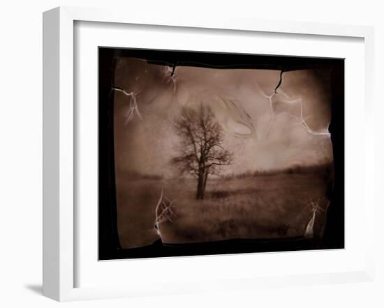 Hanging Tree-Jack Germsheld-Framed Photographic Print