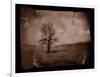 Hanging Tree-Jack Germsheld-Framed Photographic Print