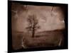 Hanging Tree-Jack Germsheld-Mounted Photographic Print