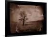 Hanging Tree-Jack Germsheld-Framed Photographic Print