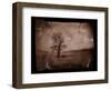 Hanging Tree-Jack Germsheld-Framed Photographic Print