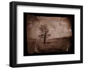 Hanging Tree-Jack Germsheld-Framed Photographic Print