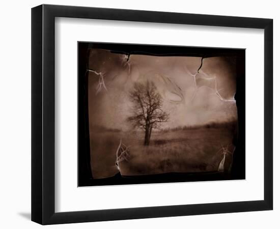 Hanging Tree-Jack Germsheld-Framed Photographic Print