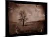 Hanging Tree-Jack Germsheld-Mounted Photographic Print