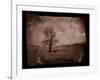 Hanging Tree-Jack Germsheld-Framed Photographic Print