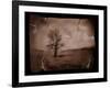 Hanging Tree-Jack Germsheld-Framed Photographic Print