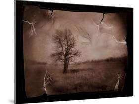 Hanging Tree-Jack Germsheld-Mounted Photographic Print