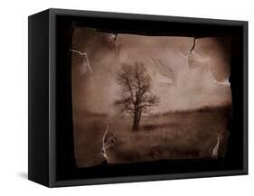 Hanging Tree-Jack Germsheld-Framed Stretched Canvas