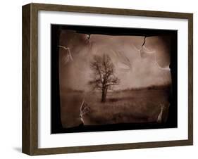 Hanging Tree-Jack Germsheld-Framed Premium Photographic Print